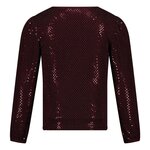 Jubel Longsleeve Pailetten Bordeaux - Daily Princess