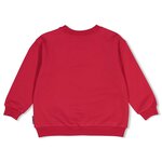 Jubel Sweater Cerise - Daily Princess