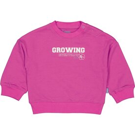 Bess Sweater Anita - Fuchsia