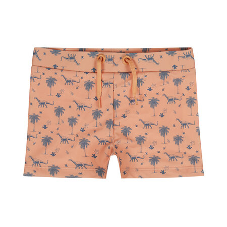 Dirkje Swimboxer - Coral