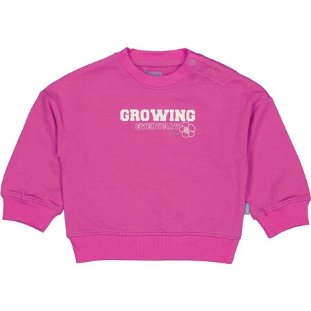 Bess Sweater Anita - Fuchsia