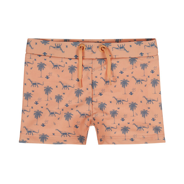 Dirkje Swimboxer - Coral