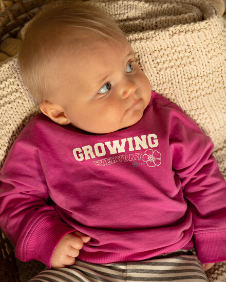 Bess Sweater Anita - Fuchsia