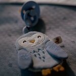 Speendoekje Uil  - Blauw - Forest Friends