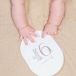 Little Dutch Mijlpaal kaarten 'Mijn eerste jaar' Baby bunny FSC