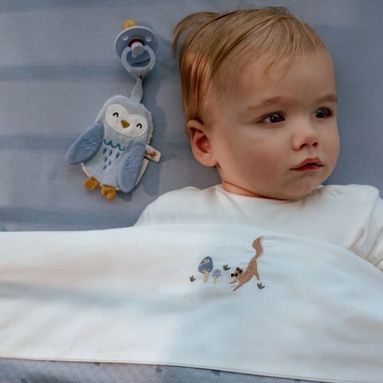 Speendoekje Uil  - Blauw - Forest Friends