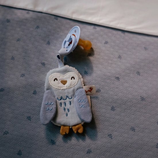 Speendoekje Uil  - Blauw - Forest Friends