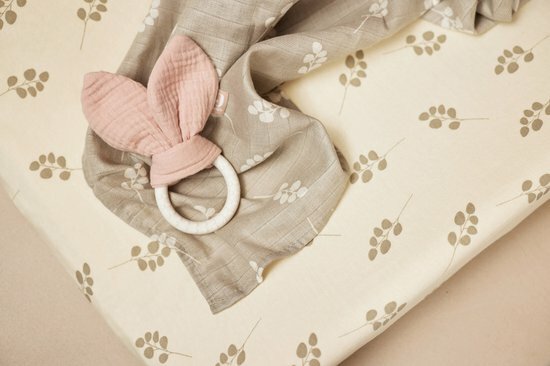 Jollein Bijtring Siliconen Bunny Ears - Wild Rose